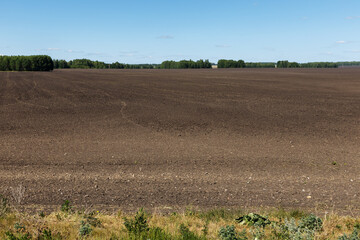 Sown field landscape. freshly prepared and sown field