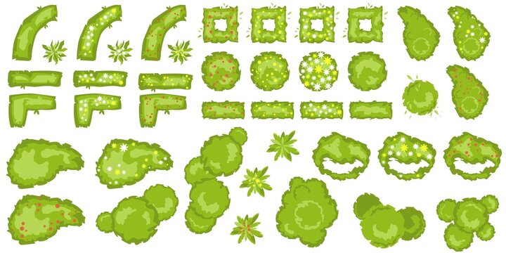 Trees, bushes and hedge top view for architectural and landscape design. Different colored blooming plants and trees vector set. Graphic, isolated. Vector. Elements for design projects. Green spaces