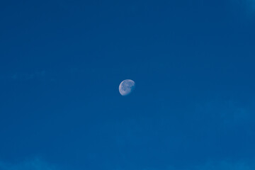 Naklejka na ściany i meble moon in front of a blue daylight sky