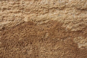 The texture is beige and brown old seashell, used for the background.