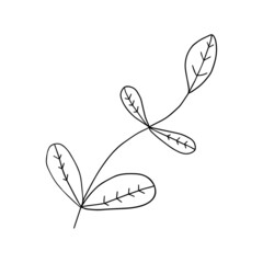 Colorful fantasy doodle cartoon sloppy flower isolated on white background. 