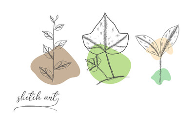 Leaves set sketch vector art illustration. 