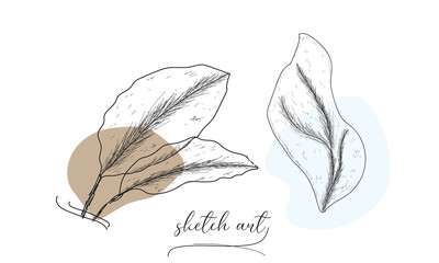 Beautiful leaves sketch vector art illustration. 