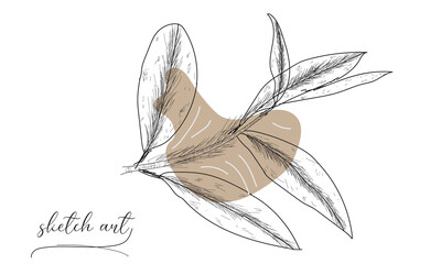 Leaf sketch art vector illustration on white background. 