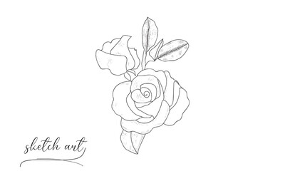 Hand-drawn rose sketch art vector art illustration. 