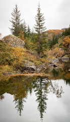 Fototapeta na wymiar Herbst in Norwegen