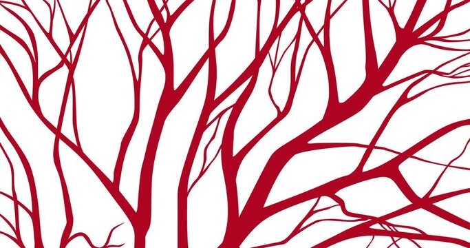 Blood vessels. Abstract animated pattern with pulsating red veins.