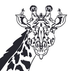 illustration on a giraffe t-shirt