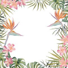 Naklejka premium Hand drawing watercolor summer banner - Strelitzia, plumeria, monstera, palm leaf. On white background with space for text. For scrapbooking, cards for birthday, party, textile, design.
