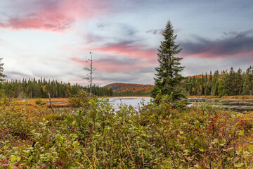 Lac St Michel in Autumn showing fall colors in cottage country, Quebec Canada. - 465398449