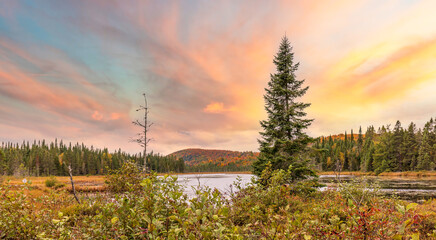 Lac St Michel in Autumn showing fall colors in cottage country, Quebec Canada. - 465398452