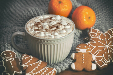 a cup of cocoa or chocolate with gingerbread and tangerines against a warm gray scarf. High quality photo