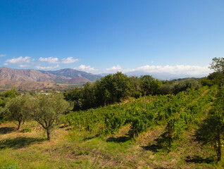 Sicilian wine agriculture farm at the foot of Etna volcano. Scenic panoramic views of the valley, farmland and mountains. Sunny photo good for touristic travel agency booklet, vineyard poster or ads.