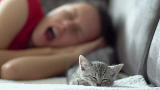 Young woman yawning while taking a nap with her adorable kitten on the sofa at home