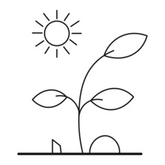 Houseplant sprout and sun ecological icon isolated