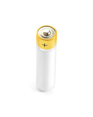 Alkaline battery isolated on white background