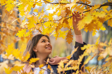 Naklejka na ściany i meble A girl stands in the park by an oak tree and picks an autumn leaf