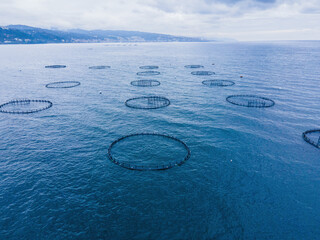 Fish farm with lots of fish enclosures in sea. Fish hatchery aerial view