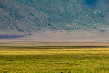 Obraz premium Grasslands at Dawn in Ngorongoro Crater, Tanzania, Africa