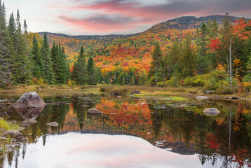 Mount Kaaikop in the background with Lac Legault showing the Autumn fall colors in the water reflection, Quebec, Canada. - 465409438