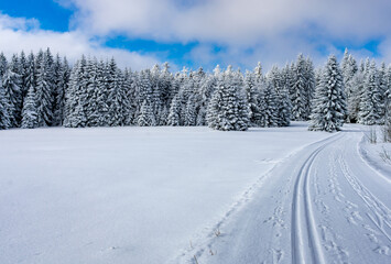 cross-country ski trail on a winter road through a snowy landscape