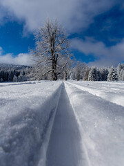 cross-country ski trail on a winter road with flying snow