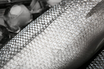 Fresh uncooked sea bass fish on table, closeup