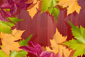Naklejka na ściany i meble autumn landscape with bright colorful leaves foliage.