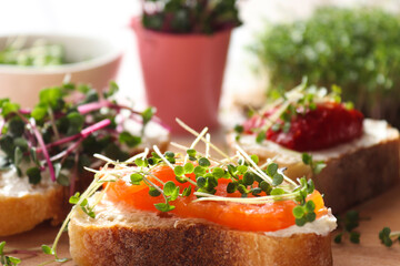 Toasts with salmon and microgreens on the table. Tasty breakfast. Healthy food, and dieting concept