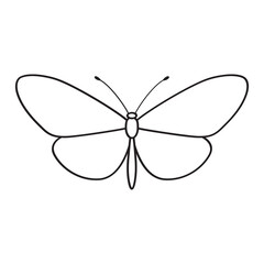 Butterfly 2
