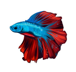 Fish cockerel, Siamese fighting fish cockerel betta from multicolored paints. Splash of watercolor, colored drawing, realistic. Vector illustration of paints