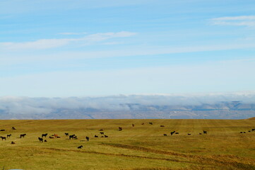 Obraz premium Кисловодск Эльбрус