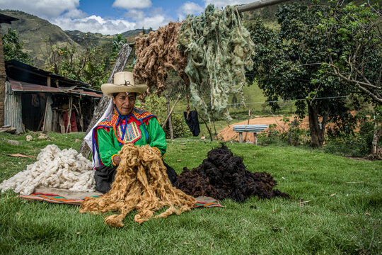Mujer latinoamericana andina colgando lana de oveja te&ntilde;ida de colores en el campo para secarla en Ca&ntilde;aris Per&uacute;