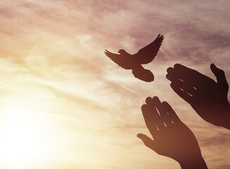 birds flying for freedom from an open hand,  bird set free