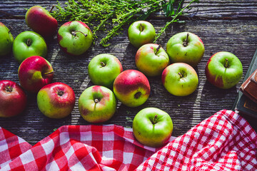 red and green Lady apples autumn fruit on rustic wood tabletop with gingham check cloth