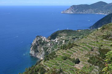 Fototapeta na wymiar Paesaggio sulle 5 Terre con la località di Corniglia sul promontorio a picco sil mare