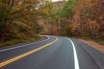 left turning road on highway with fall foliage