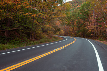 Fototapeta premium road through woods in autumn with colorful leaves