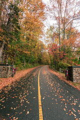 fall foliage on road with stone columns in forest