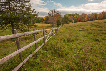 Fototapeta na wymiar foliage in meadow with wood fence