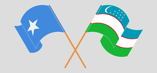 Crossed and waving flags of Somalia and Uzbekistan