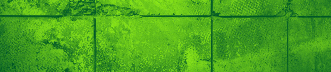 abstract green bright color background for design