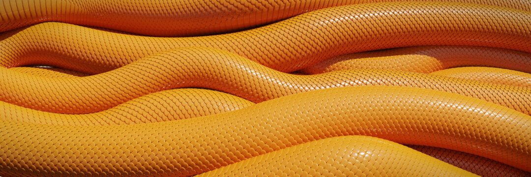 orange snakes background banner