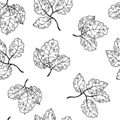 silhouette contour patern of leaves and branches. Black and white