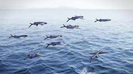 flying fish, group of Exocoetidae jumping out of the water