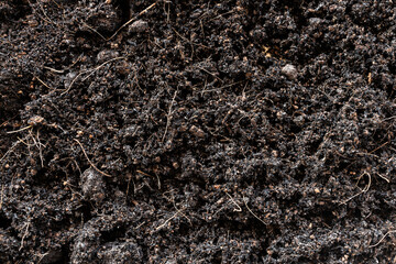 black earth background. natural soil texture. Pile heap of soil humus backdrop.