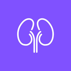 Kidney renal vector urology line icon. Outline disease kidney care clinic concept icon
