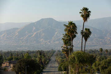 Afternoon view of a street and palms with a San Bernardino Mountain backdrop near downtown Redlands, California, USA. - obrazy, fototapety, plakaty