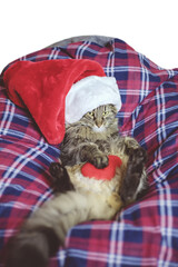 Sad Santa cat lies in a checkered chair bag with a plush heart. Sadness for Christmas. Christmas composition with a cat