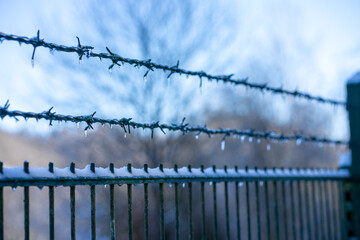Frozen barb wire above a fence